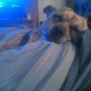 Meet your Posher, Amanda